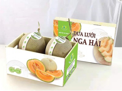 Dưa lưới Nga Hải